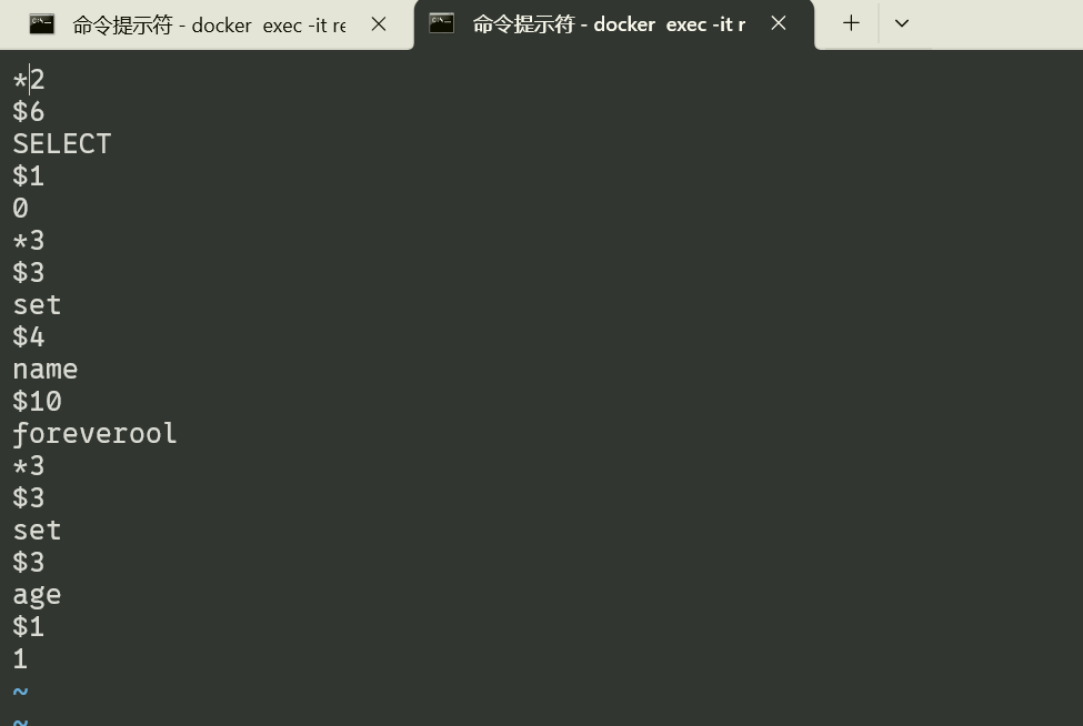 image-20260222045343832